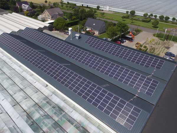 Olij Trading zonnepanelen bedrijfsgebouw